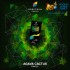 Заказать кальянный табак Spectrum Hard Agava Cactus (Спектрум Хард Кактус) 40г онлайн с доставкой всей России фото - 2